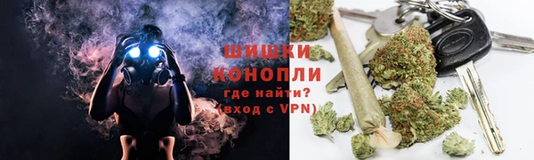 ПСИЛОЦИБИНОВЫЕ ГРИБЫ Михайловка