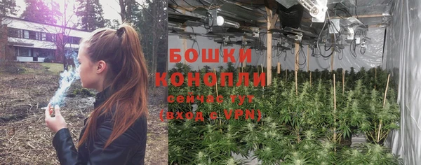 PSILOCYBIN Анива