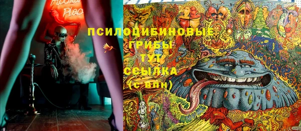 дмт Михайловск
