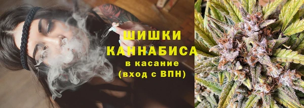 ПСИЛОЦИБИНОВЫЕ ГРИБЫ Михайловка