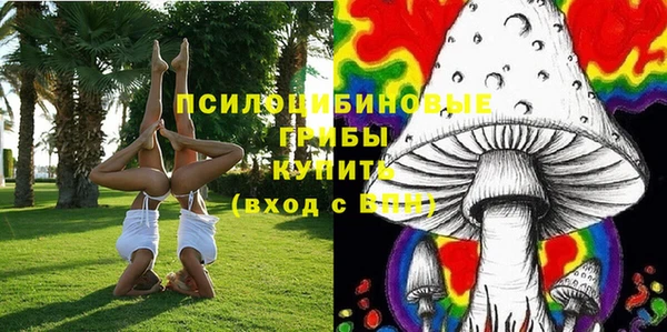 ПСИЛОЦИБИНОВЫЕ ГРИБЫ Михайловка