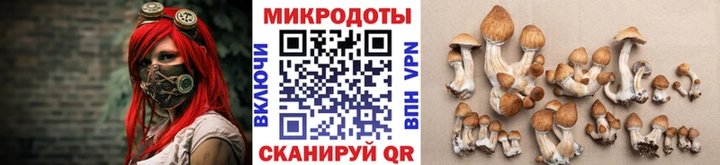 Галлюциногенные грибы MAGIC MUSHROOMS  Пыталово 